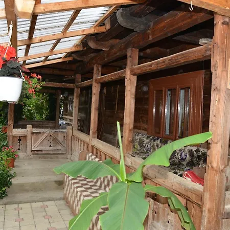 Guest house Pensiunea Armonia