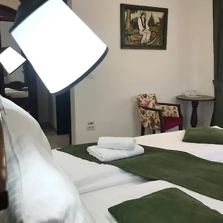 Pensiunea Armonia Guest house 2*