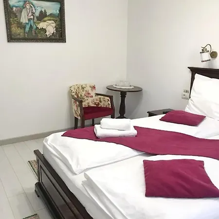 Pensiunea Armonia Guest house 2*